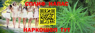 дживик Дубна