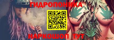 кокс Донской