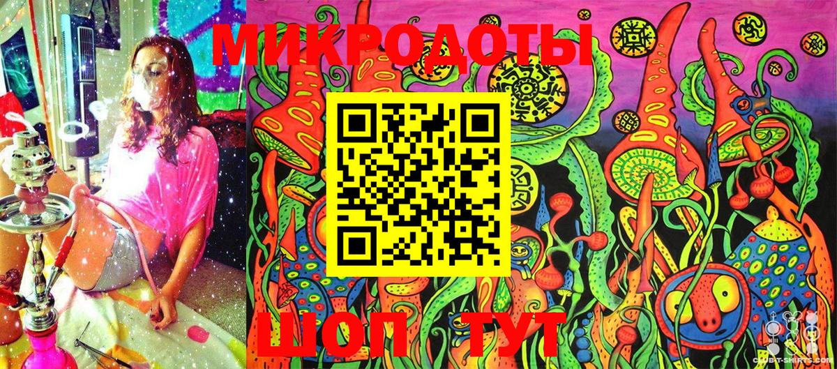 Псилоцибиновые грибы Magic Shrooms  Вход с VPN  Назрань  Псилоцибиновые грибы Psilocybine cubensis 